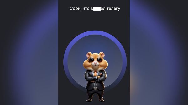 Что такое Hamster Kombat, как хомячок из Telegram покорил интернет и возможно ли с ним стать богатым (обновлено)